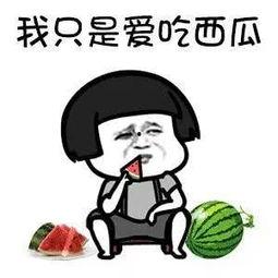 娱乐吃瓜酱什么系