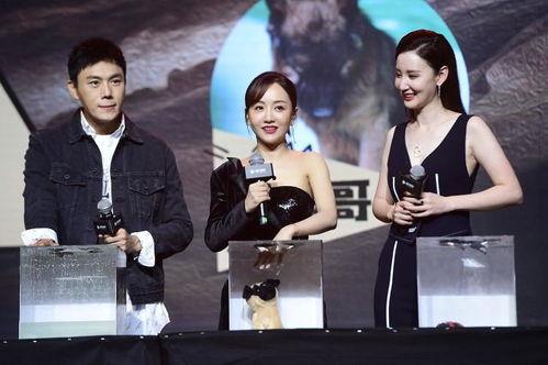 娱乐圈吃瓜汇总718,揭秘明星幕后真相与八卦风云